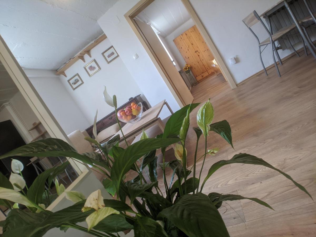 Twin-Magnolias Condo With Garden, Parking & Ev Station Zagreb Exterior photo