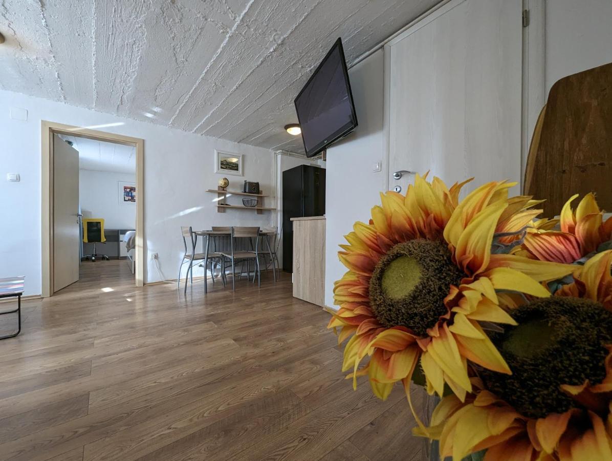 Twin-Magnolias Condo With Garden, Parking & Ev Station Zagreb Exterior photo
